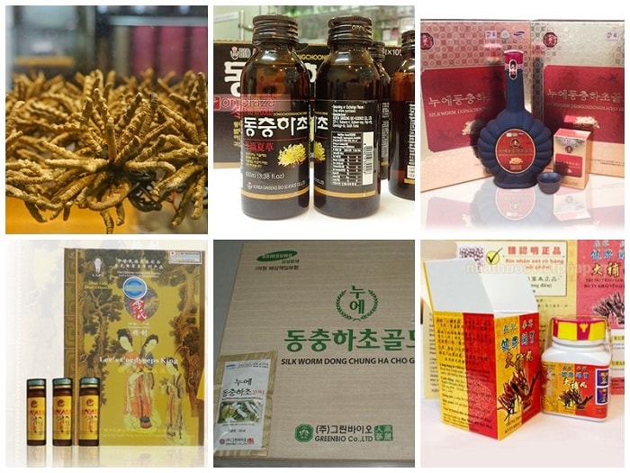 [Image: cac-san-pham-chiet-xuat-tu-dong-trung-ha...n-chat.jpg]