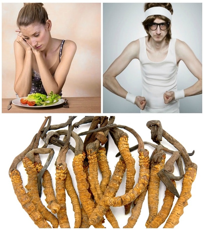 [Image: dong-trung-ha-thao-giup-tang-can-an-toan.jpg]