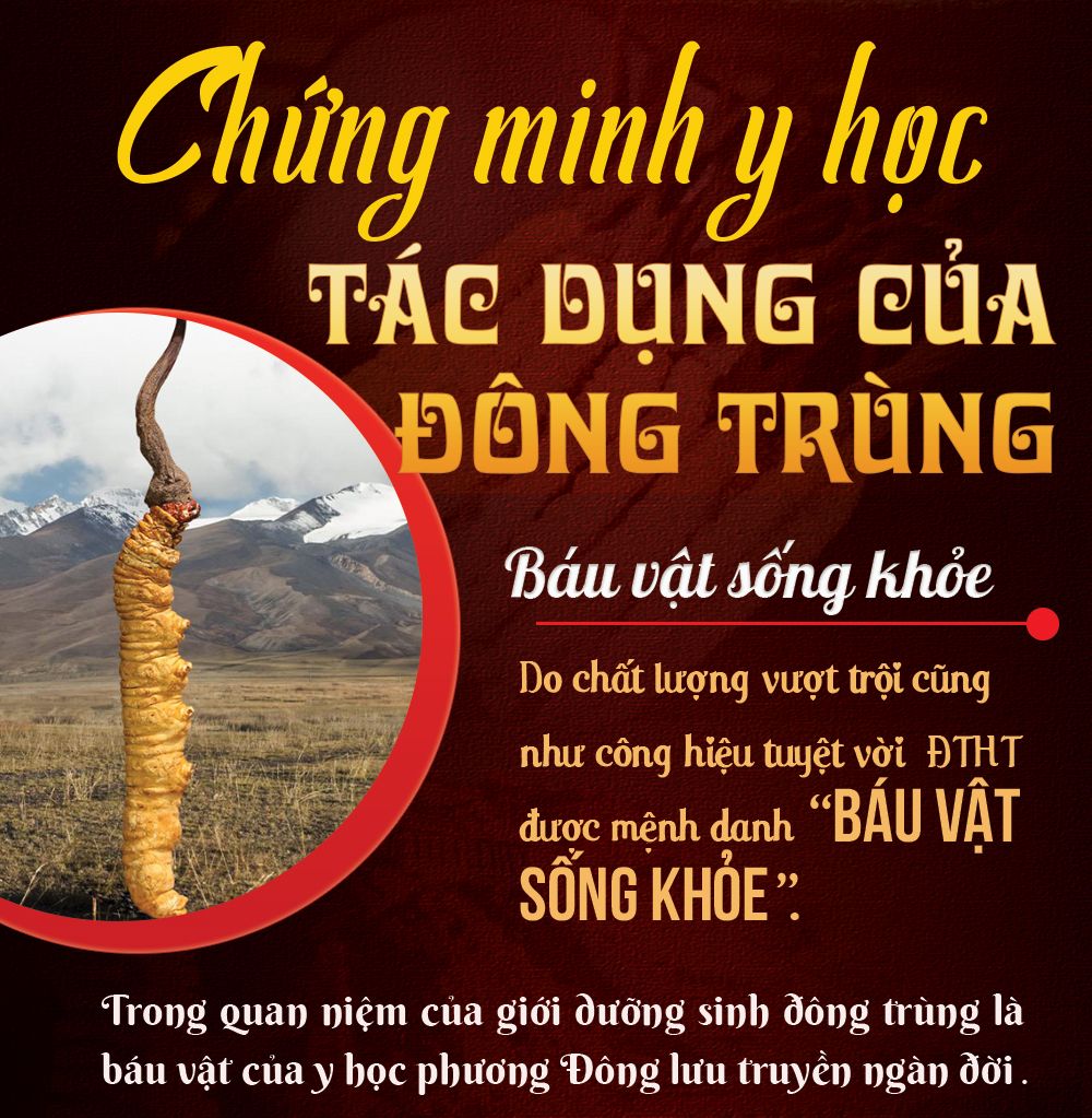 Đông trùng Tây Tạng nguyên con
