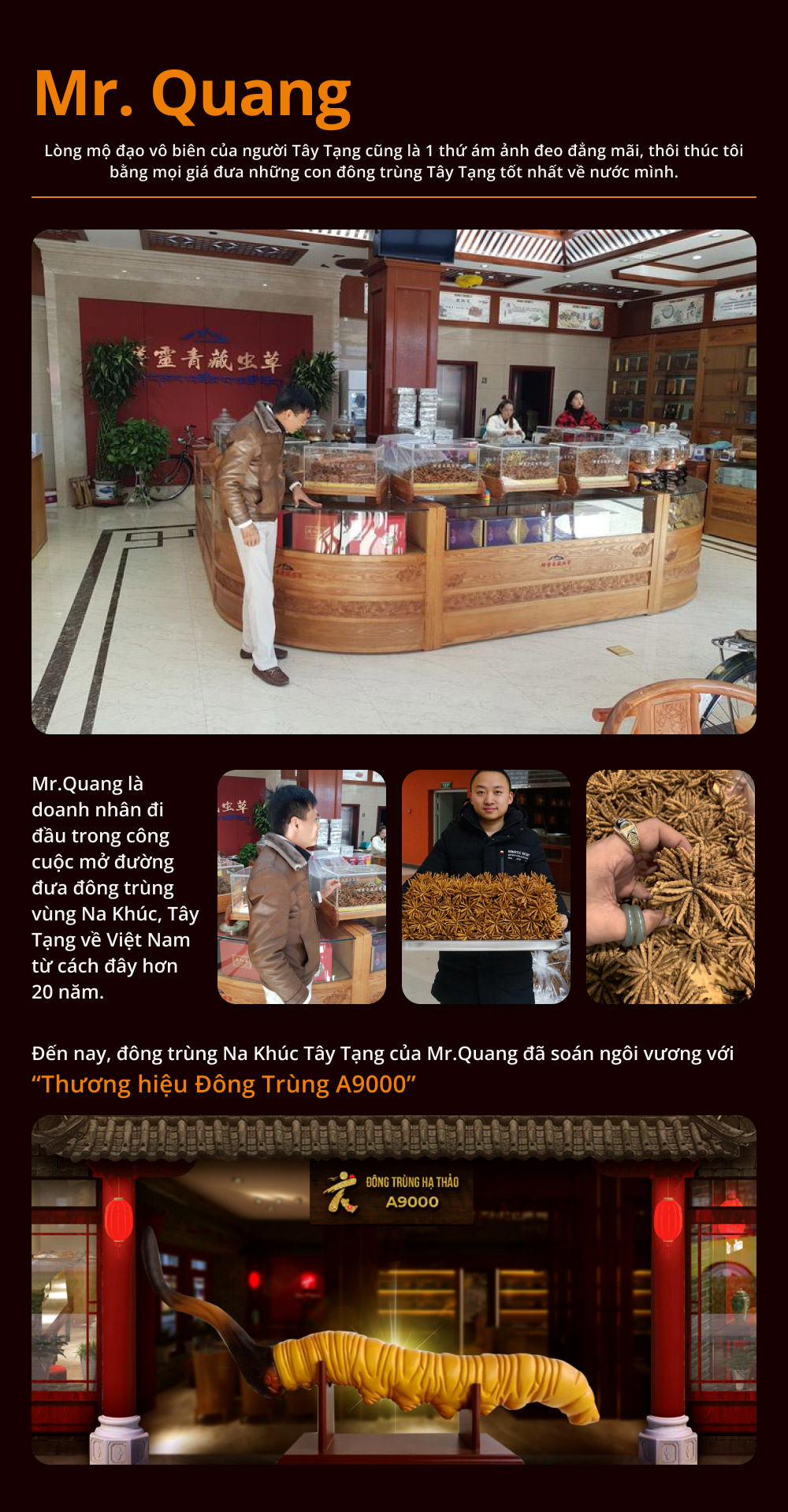 Giá đông trùng hạ thảo Tây Tạng A9000