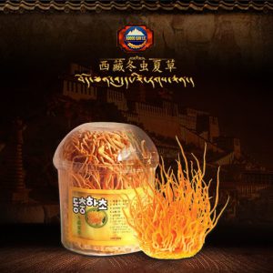 Nấm đông trùng hạ thảo tươi Hàn Quốc