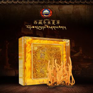 Đông trùng hạ thảo khô Việt Nam hộp 250gr