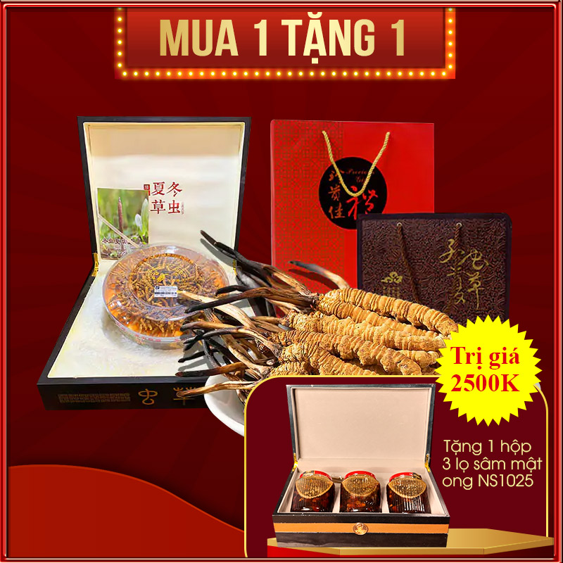 Đông trùng hạ thảo Tây Tạng Onplaza loại 1 hộp 50gr D400-50V1