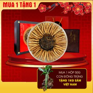 Đông trùng hạ thảo Tây Tạng Onplaza loại 1 hộp 50gr D400-50V1