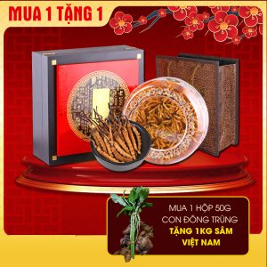 Đông trùng hạ thảo A9000 nguyên con VIP1 (50gr/hộp) D600-50V1