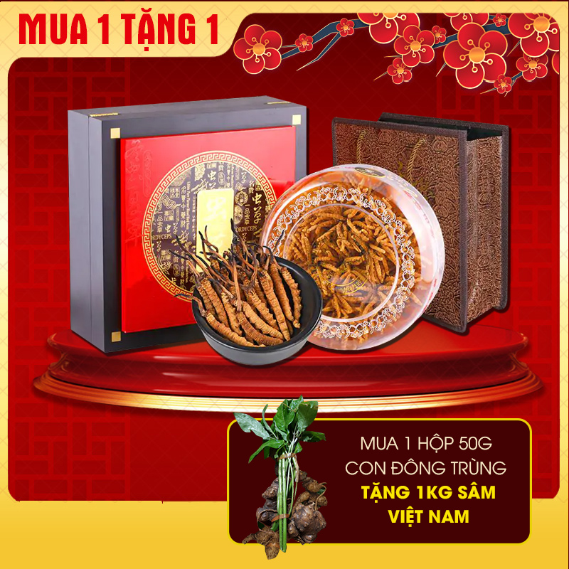 Đông trùng hạ thảo A9000 nguyên con VIP1 (50gr/hộp) D600-50V1