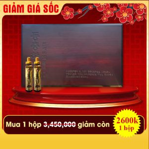 Tinh chất Đông trùng Hạ thảo Hàn Quốc hộp gỗ 60 ống Bio D226