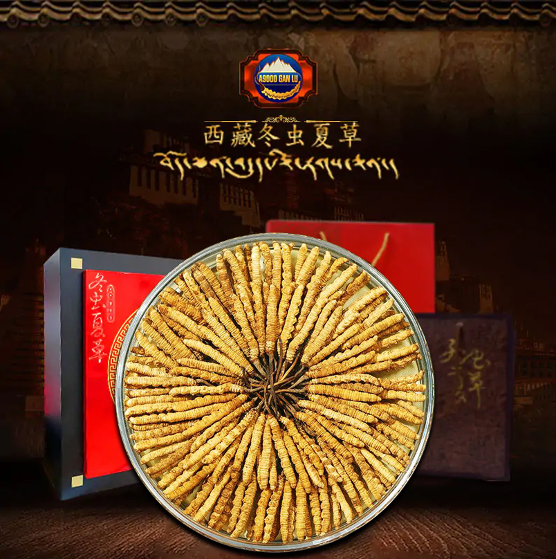 Đông Trùng Hạ Thảo nguyên con Tây Tạng loại 1.500 con 1 kg